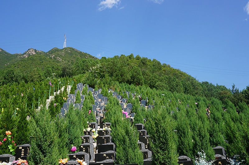前往陵园用预约吗？如何约选墓专车？
