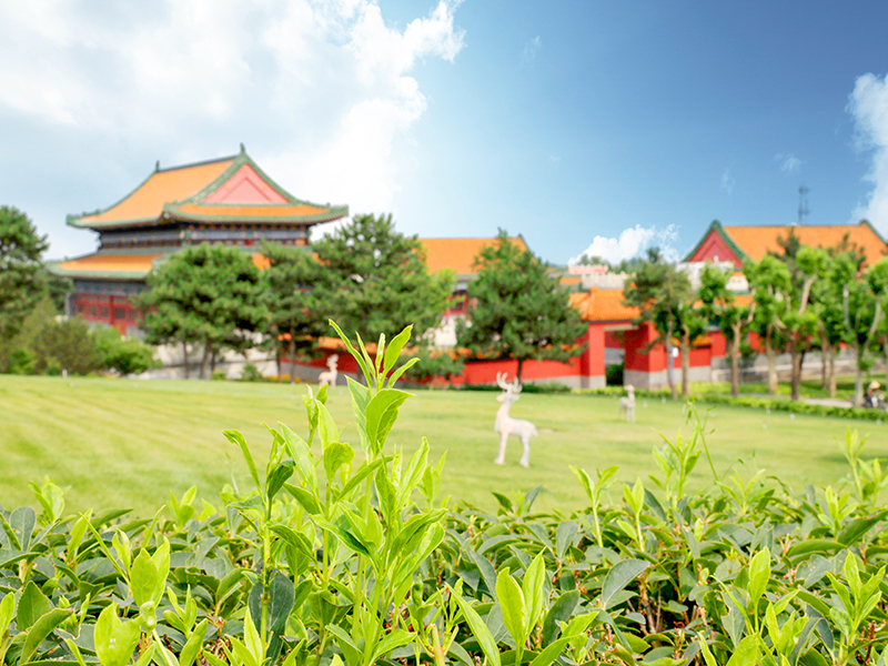 杭州钱江陵园清明期间用预约吗（钱江陵园怎么样）